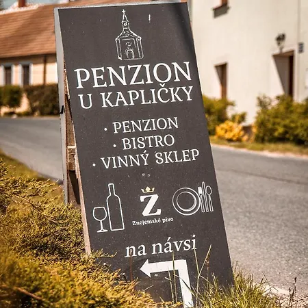 U Kaplicky דירה
