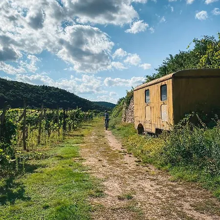 U Kaplicky דירה *