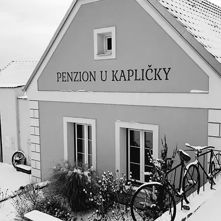 U Kaplicky Apartman