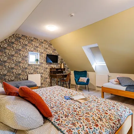 U Kaplicky Apartament