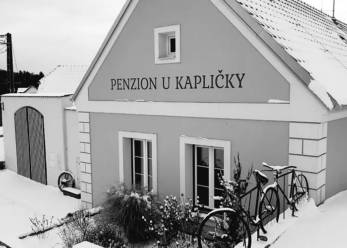 U Kaplicky Apartman